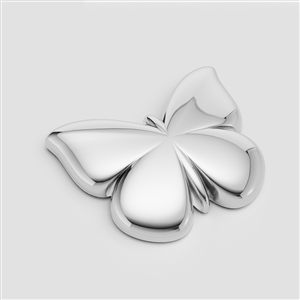 Charm 005 Charm 005