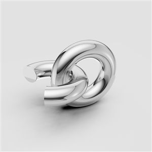Torus 04