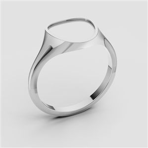 Signed Ring 013